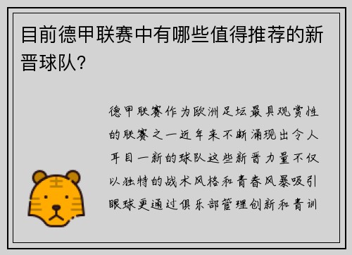 目前德甲联赛中有哪些值得推荐的新晋球队？