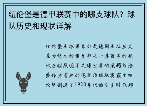 纽伦堡是德甲联赛中的哪支球队？球队历史和现状详解